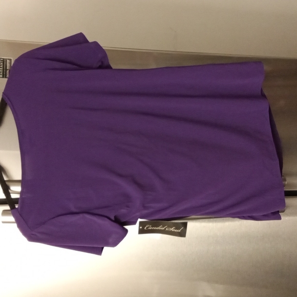 NWT Purple Drape-Neck Short Sleeve Dress Top Size Large - Picture 4 of 5